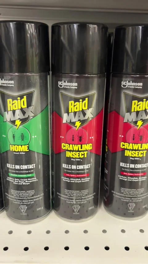 Max and Raid Essentials insect and bug killer sprays Stock Footage 309473844