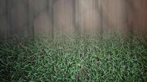Max Grunge Park Shutter Burst Shake Stock Footage 303688204
