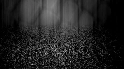 Max Grunge Park Shutter Burst BW Stock Footage 303688210