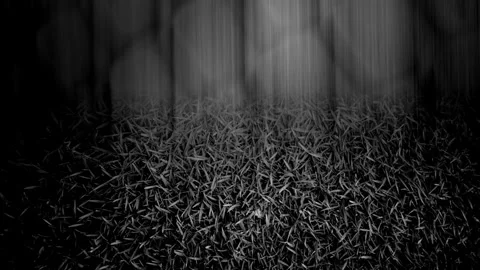 Max Grunge Park Shutter Burst BW Shake Stock Footage 303688213