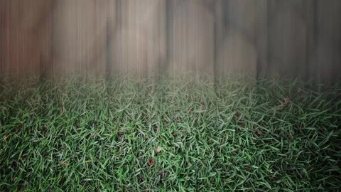Max Grunge Park Shutter Burst Stock Footage 303688214