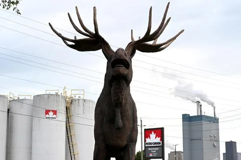 Max the Moose and Dryden pulp mill in Dryden, ON, Canada Photos