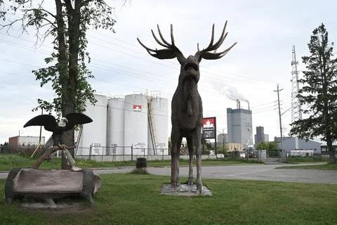 Max the Moose and Dryden pulp mill in Photos