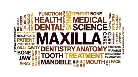 Maxilla animated word cloud,animation tag kinetic typography seamless loop. Stock Footage 296207099