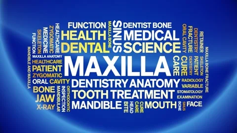 Maxilla animated word cloud,animation tag tag kinetic typography seamless loop. Stock Footage 296263757