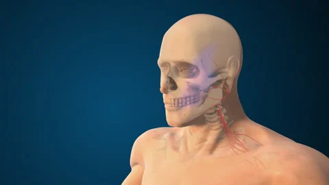 Maxillary Division Nerve Damage Affecting Facial Function 스톡 동영상 328813616
