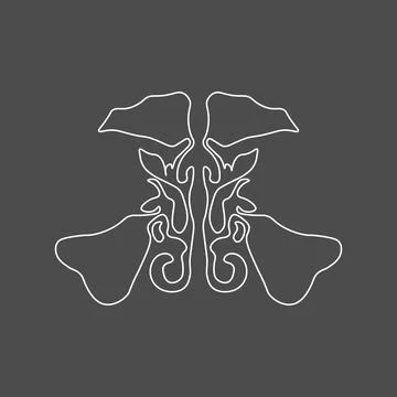 Maxillary sinus linear icon. Sinusitis. Sinus infection is inflammation of th Stock Illustration