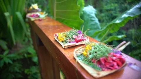 To maximize sales, this shot should be marketed toward the Wellness, Mindfulness Stock Footage 330264666