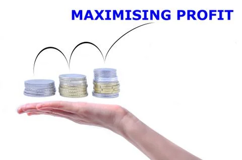 Maximizing profit Stock Illustration