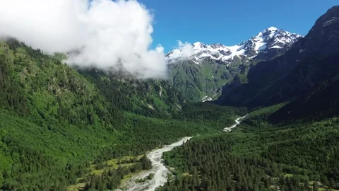 Maximum Close Drone Approach To Alpine Forest And River Bed 4K RAW Stock Footage 339736579