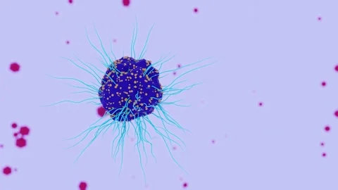 May 14 2026 Eukaryotic Cell Filopodia Virus Particles Blood Medium Shot Loop 4K Stock Footage 334860019