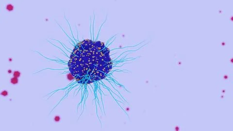 May 14 2026 Eukaryotic Cell Filopodia Scattered Particles Lavender Background 4K Stock Illustration