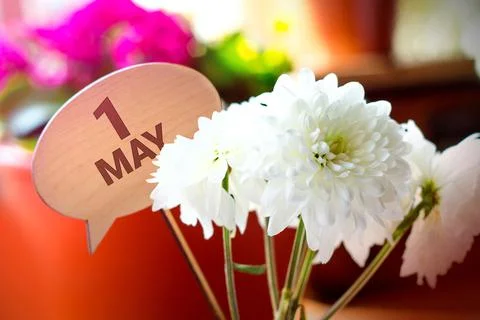 May 1st. Image of may 1 label with chrysanthemums. Spring day, empty space fo Stock Photos