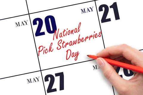 May 20. Hand writing text National Pick Strawberries Day on calendar date. Sa Stock Photos