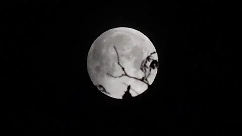 May 2021 Lunar Eclipse 库存影片 156678160