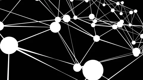 May 29 2026 White Plexus Network Animation Black Background 4K Loop Stock Footage 335863223