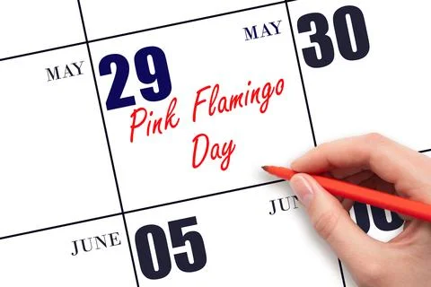 May 29. Hand writing text Pink Flamingo Day on calendar date. Save the date. Stock Photos