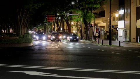 May 3, 2024, Sendai, Miyagi Prefecture, Japan.The view of Jozenji Street at.. Stock Footage 284581147