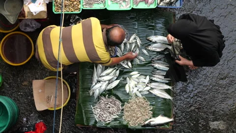 May 4, 2024, Jakarta-High angle view of fish seller at the fish market. Stock Footage 274683560