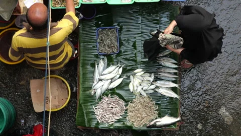 May 4, 2024, Jakarta-High angle view of fish seller at the fish market. Stock Footage 274683598