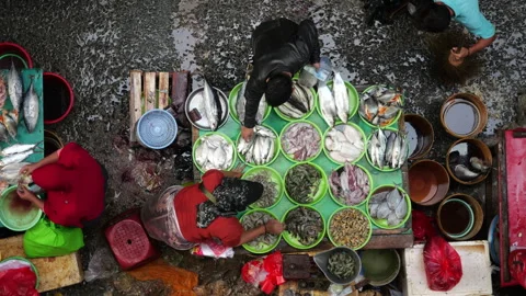 May 4, 2024, Jakarta-High angle view of fish seller at the fish market. Stock Footage 274685541