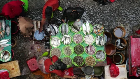 May 4, 2024, Jakarta-High angle view of fish seller at the fish market. Stock Footage 274685737