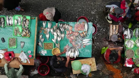 May 4, 2024, Jakarta-High angle view of fish seller at the fish market. Stock Footage 274688760