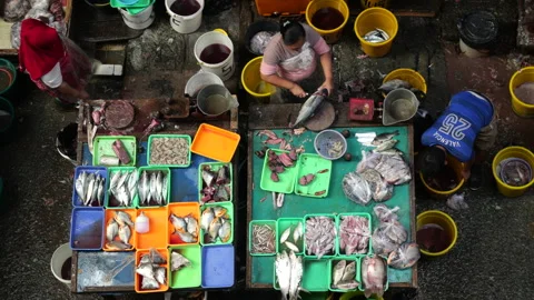 May 4, 2024 - Jakarta: High angle view of fish seller at the fish market. Stock Footage 274697471