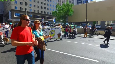 May day 15 Stock Footage 107477333