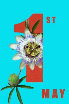 May day concept Stock Photos