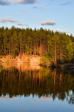 May evening on the forest river. Stock Photos