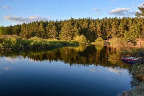 May evening on the forest river. Stock-Fotos