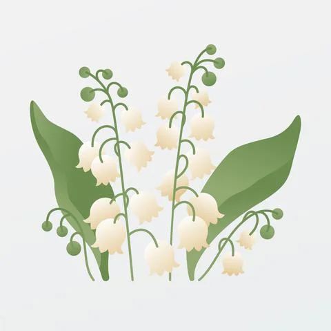 May Lily Vector Illustration. Illustrazione stock
