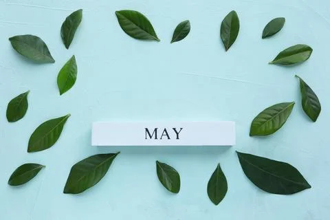 May month of spring. May text on white wood block and green leaf on light blue Stock Photos