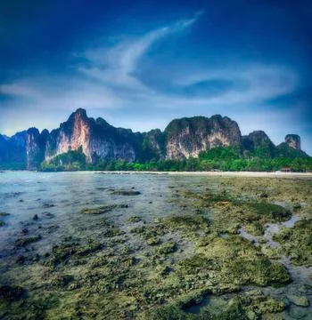 Maya bay Phi phi leh island Thailand Foto stock