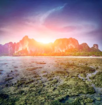 Maya bay Phi phi leh island Thailand Fotos Stock
