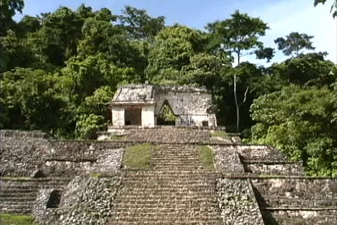 Maya Cities Palenque small temple Stock Footage 465546