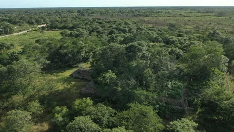 Maya Pyramid Drone View and Jungle, Chaltun-Ha near Izamal, Yucatan, Mexico 2.7K Stock Footage 172486933