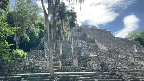 Maya Pyramid view in Calakmul Stock Footage 217363590