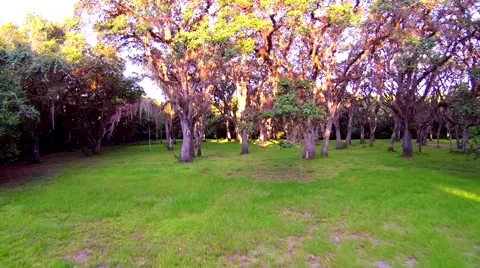 Mayakka River Aerials Vídeos de archivo 51022667