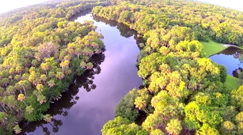 Mayakka River Aerials 스톡 동영상 51022972