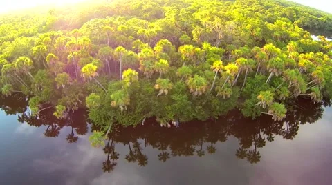 Mayakka River Aerials 스톡 동영상 51023056