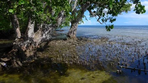 Mayalibit bay in Waigeo Foto stock