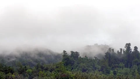 Mayalibith Stock Photos