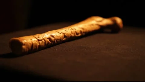 Mayan Bone 2 Video stock 8970817