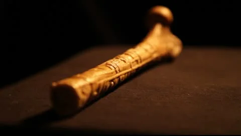 Mayan Bone 3 Video stock 8970797