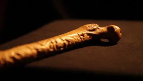 Mayan Bone 4 Video stock 8970773