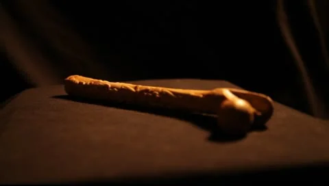 Mayan Bone 5 Video stock 8970744