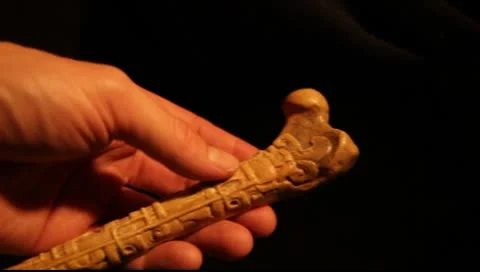 Mayan Bone 6 Video stock 8970696