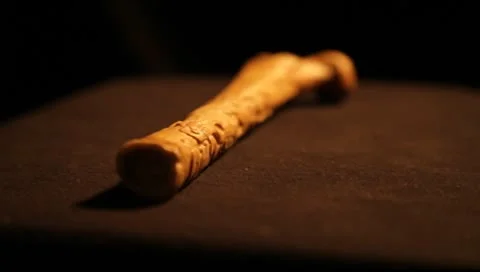 Mayan Bone  Video stock 8970833